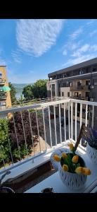 Apartman Dejanović 1