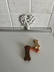 Bilocale moderno con ampio giardino - Stezzano