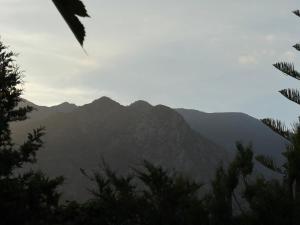 Villa Quimera en Marbella