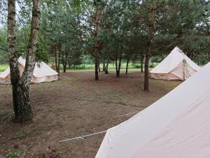 Żeremie Jurki Camp