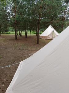Żeremie Jurki Camp