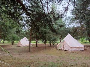 Żeremie Jurki Camp