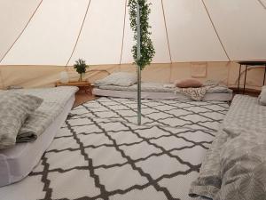 Żeremie Jurki Camp