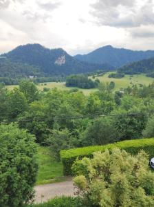 Apartamenty Nad Dunajcem