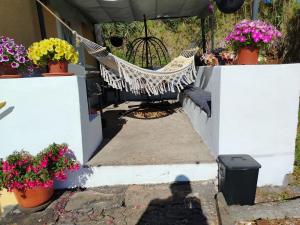 Bougainvillea House