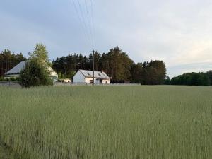 Leśny Domek