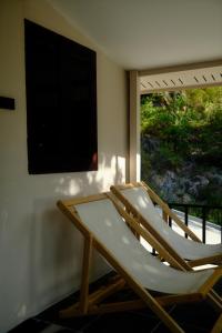 Flow Jungle Residency