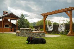 Bizon Cabin