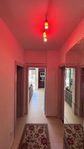 Sutomore - Lux apartment 2
