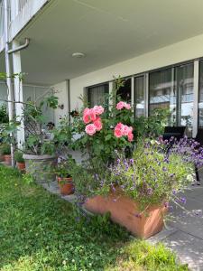 DingqinHome , 5425 Schneisingen