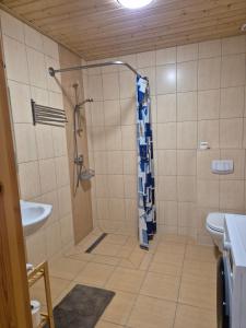 Apartment Pod Modrzewiem