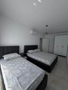ZAFIR Apartment