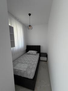 ZAFIR Apartment