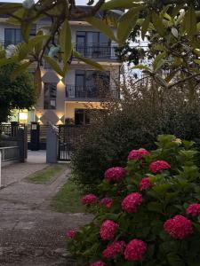 Mzeonas Apartment