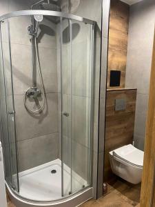Lazy Day