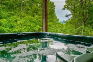 Hebron Falls Cabin