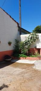 Casa da Figueira Branca