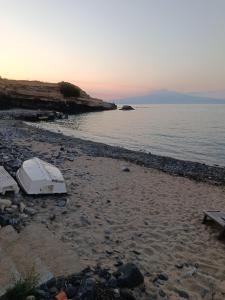 Cammileddi a mare