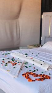 Diala Luxury Wadi Rum Bubble & Desert Experience
