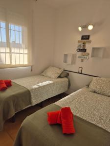 Apartmentos CT3