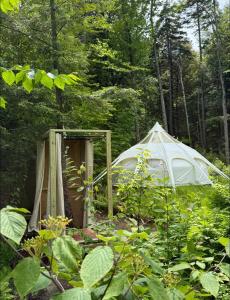 Cozy Glamping Tent with Sauna