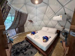 Baanmon Camping บ้านม่อนแค้มปิ้ง ร่อนพิบูลย์ นครศรีธรรมราช