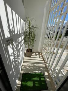 Casa del Conejo