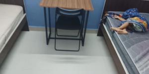Pemmis living space