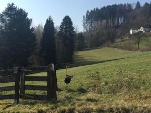 Villa in Hallenberg with swimming pool