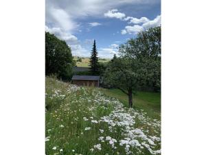 Villa in Hallenberg with swimming pool