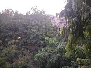 Star Studio Service Apartment Near Medanta Hospital Gurgaon