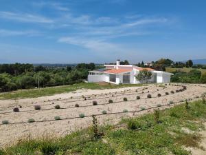Casa Maniola Nurag