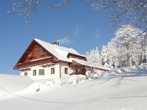Alpine cabin with 1 bedroom