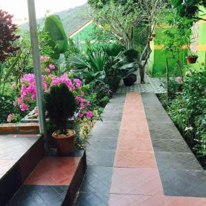 Trans Farmhouse