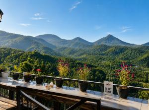 Arvian Homestay & Rooftop