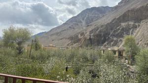 Dolma house home stay