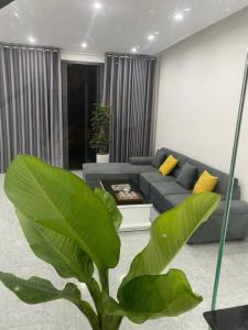 Hà Thành’s homestay