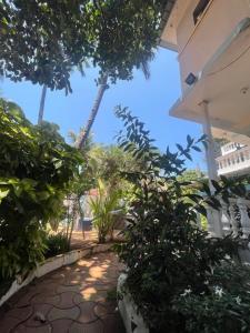 Hotel White Sand Bache Stay