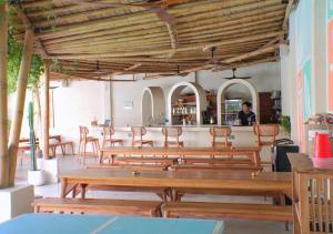 Tipsea Turtle Gili Trawangan
