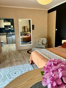 Appart vue Cité, balnéo privée, clim, jardin, parking gratuit