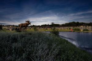Quality Inn & Suites Black River Falls I-94