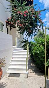 Aeria View