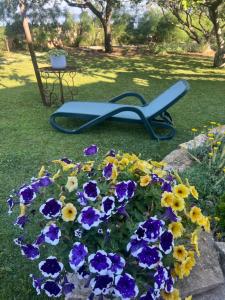 Bed&Breakfast Vanni