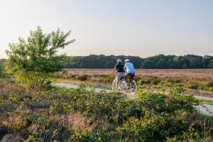 Kleine huisje op de Veluwe