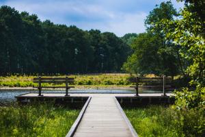 Kleine huisje op de Veluwe