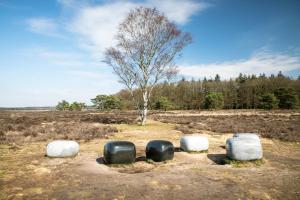 Kleine huisje op de Veluwe