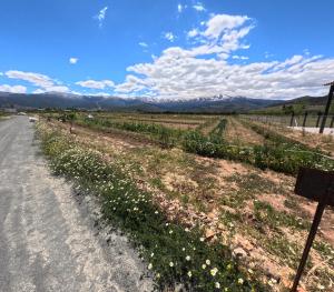 Camping & Área de Autocaravanas Las Viñas