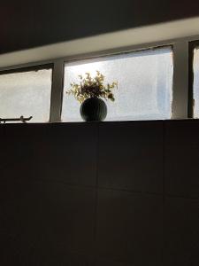 Koshoka Home