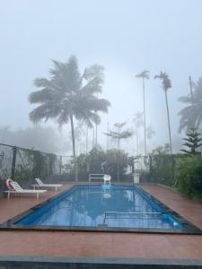 WILD WIND Resort