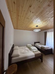 Guesthouse Alpini
